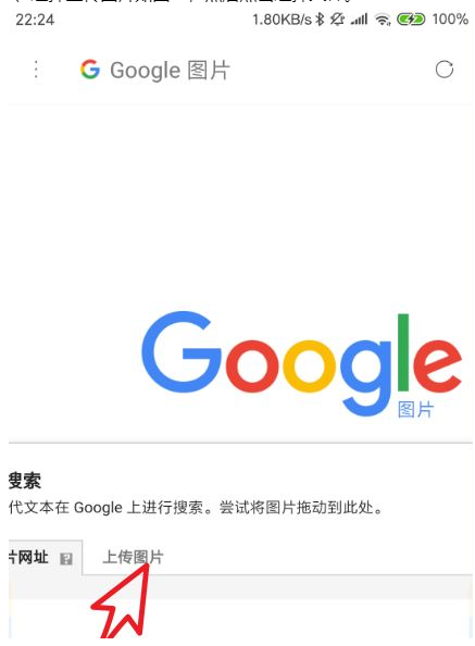 手机谷歌浏览器如何以图搜图7