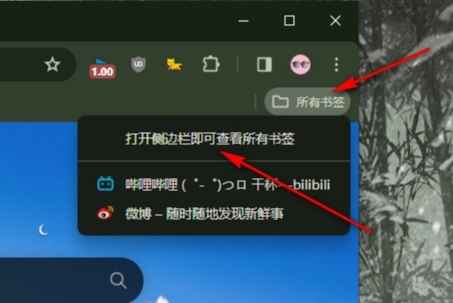 谷歌浏览器如何在侧边栏显示所有书签5