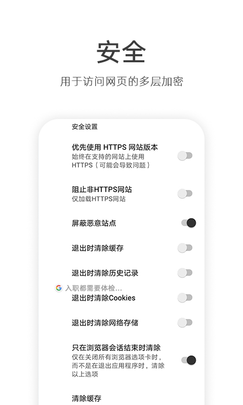 安全浏览器绿色版截图1