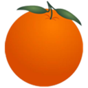 金桔社交浏览器官网版