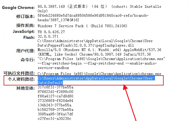 chrome浏览器视频缓存文件在哪3