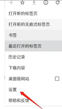 如何在谷歌浏览器中开启“自动补全”选项3