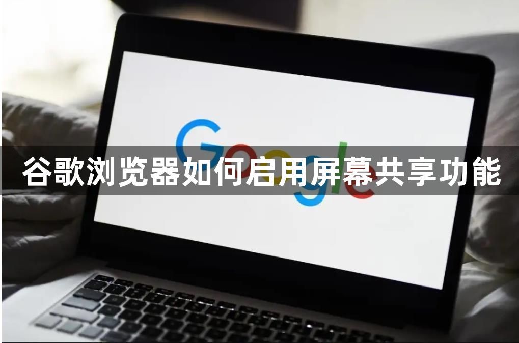 谷歌浏览器如何启用屏幕共享功能1