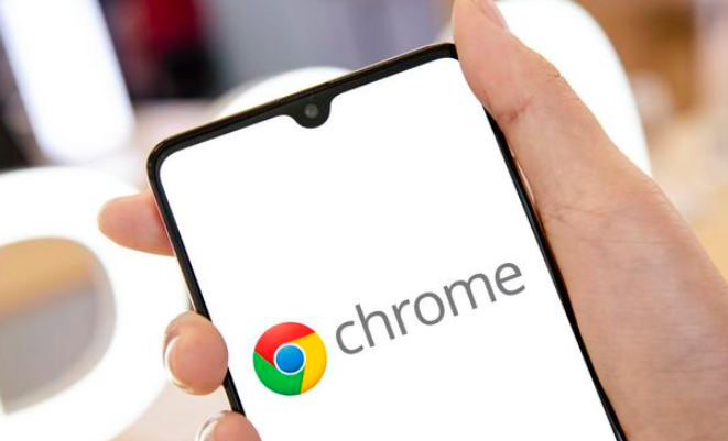 谷歌Chrome浏览器的文件管理和下载优化