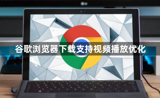 谷歌浏览器下载支持视频播放优化1