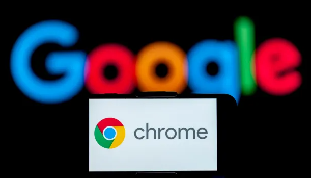 Google Chrome支持数据可视化插件功能1