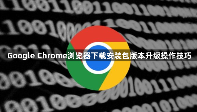 Google Chrome浏览器下载安装包版本升级操作技巧1