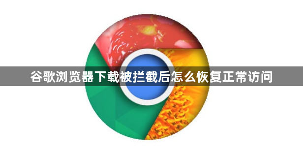 谷歌浏览器下载被拦截后怎么恢复正常访问1