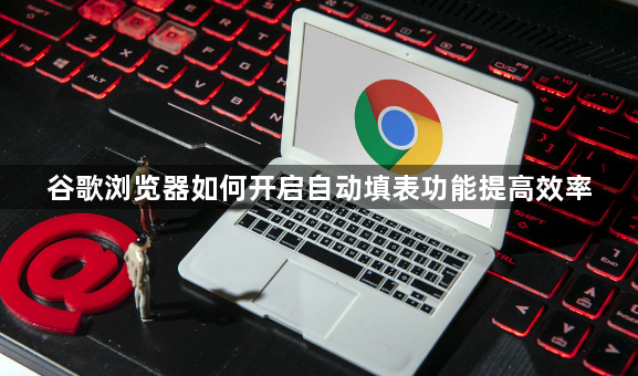 谷歌浏览器如何开启自动填表功能提高效率1