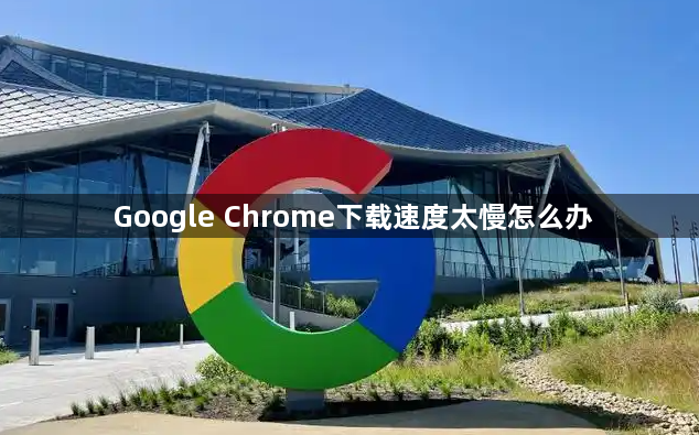 Google Chrome下载速度太慢怎么办1