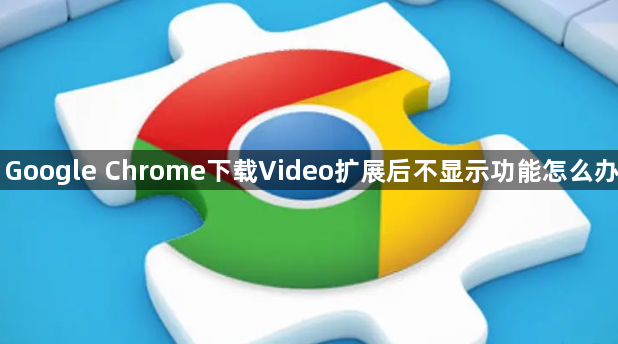 Google Chrome下载Video扩展后不显示功能怎么办1