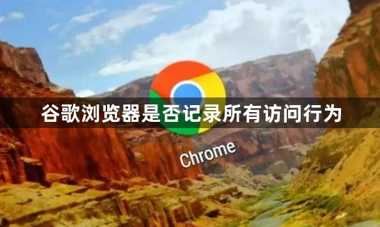 谷歌浏览器是否记录所有访问行为1