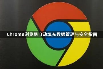 Chrome浏览器自动填充数据管理与安全指南1
