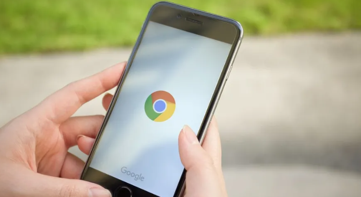 google Chrome如何为不同类型文件设置下载权限