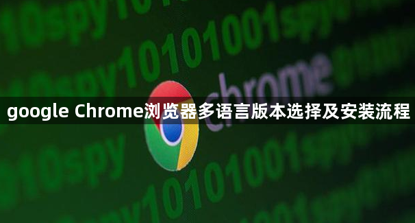 google Chrome浏览器多语言版本选择及安装流程1