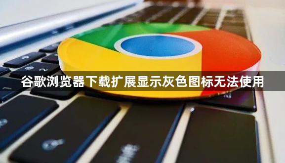 谷歌浏览器下载扩展显示灰色图标无法使用1