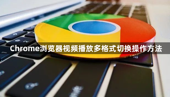Chrome浏览器视频播放多格式切换操作方法1