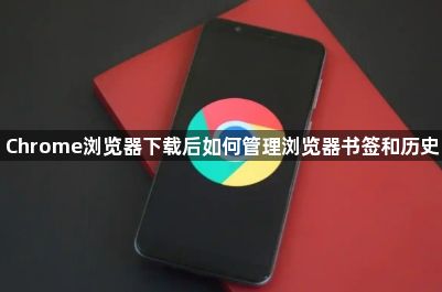 Chrome浏览器下载后如何管理浏览器书签和历史1