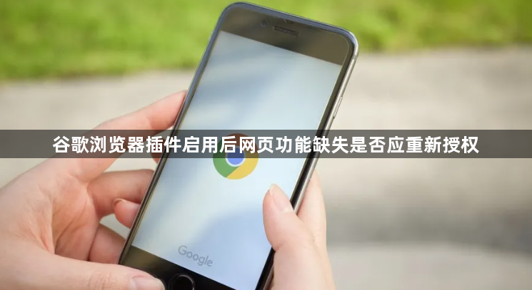 谷歌浏览器插件启用后网页功能缺失是否应重新授权1