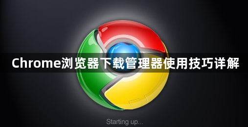 Chrome浏览器下载管理器使用技巧详解1