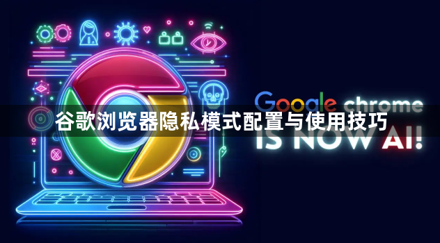 谷歌浏览器隐私模式配置与使用技巧1