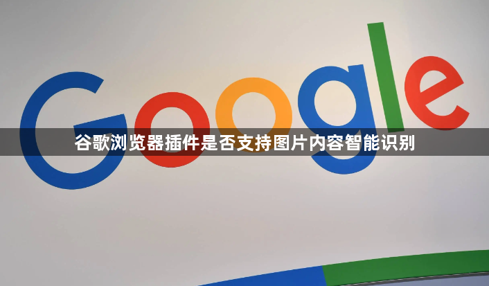 谷歌浏览器插件是否支持图片内容智能识别1