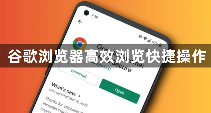 谷歌浏览器高效浏览快捷操作1
