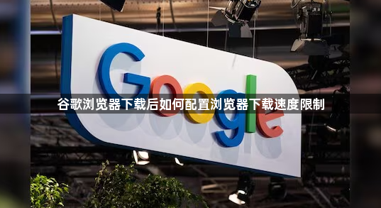 谷歌浏览器下载后如何配置浏览器下载速度限制1