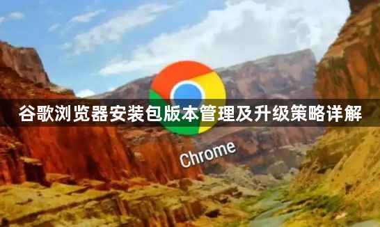 谷歌浏览器安装包版本管理及升级策略详解1