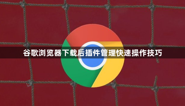 谷歌浏览器下载后插件管理快速操作技巧1