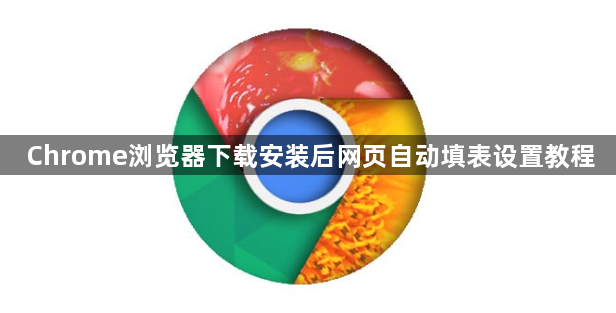 Chrome浏览器下载安装后网页自动填表设置教程1
