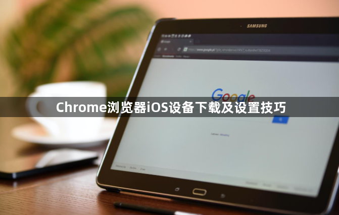 Chrome浏览器iOS设备下载及设置技巧1