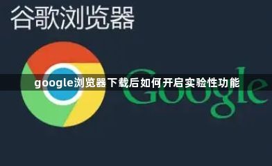 google浏览器下载后如何开启实验性功能1